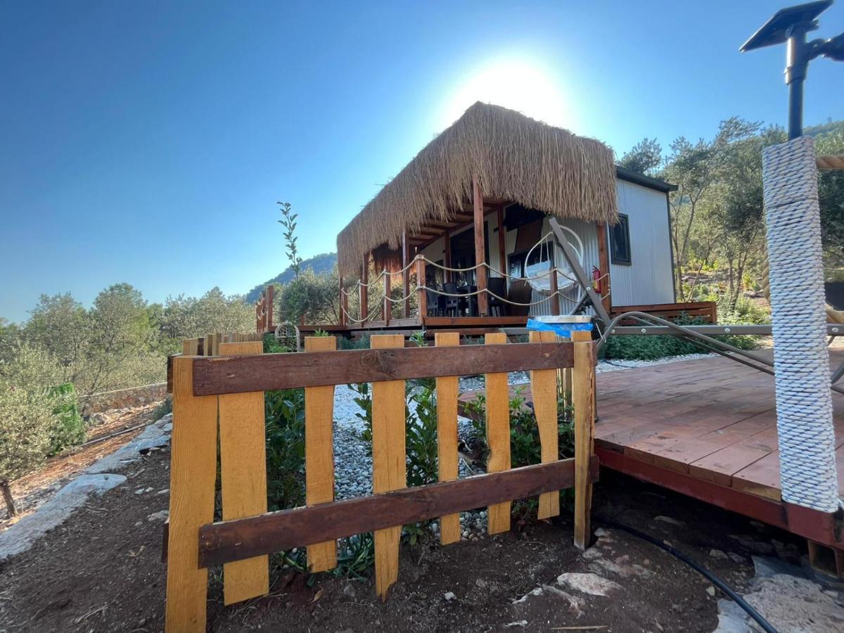 Villa Lovin Goecek Tiny House Butterfly Gokceovacik Exterior foto